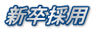 新卒採用